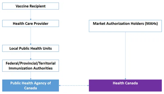 health_canada_aefi_diagram_(2020).png